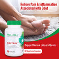 Organika Goutrin Gout Control Supplement – 60 Vegetarian Capsules