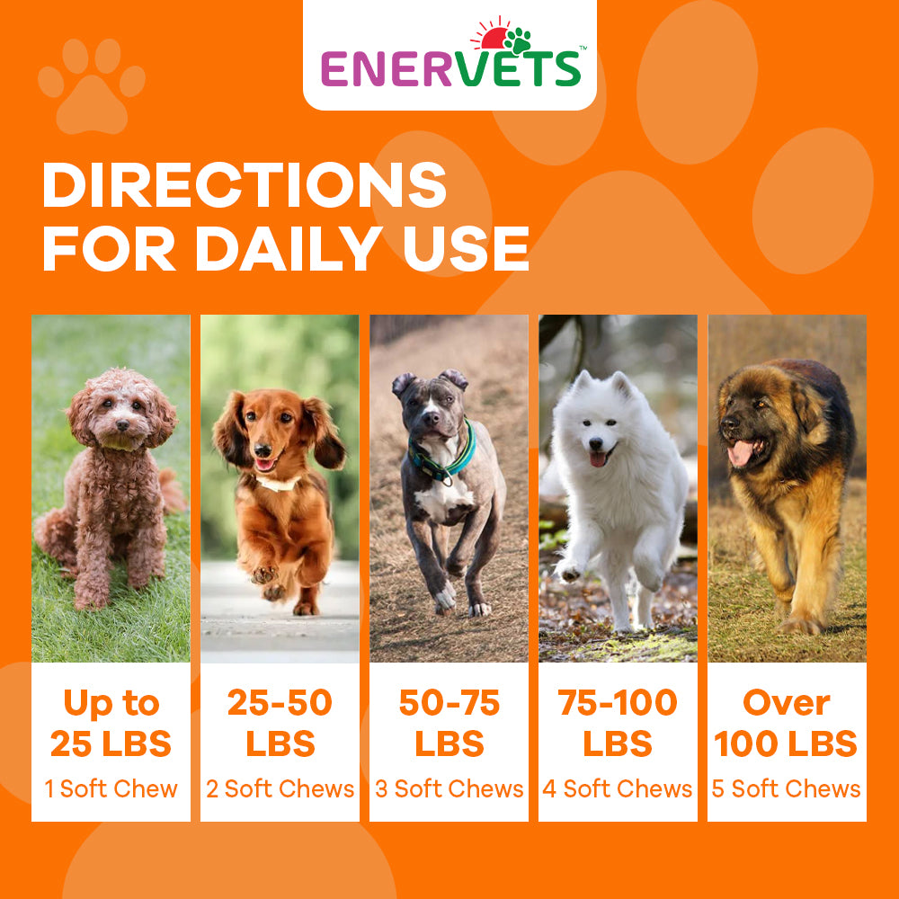 Enervets PawQFlex Dog Hip and Joint Supplement Chicken Flavoured Dog Treats -120 Soft Chews