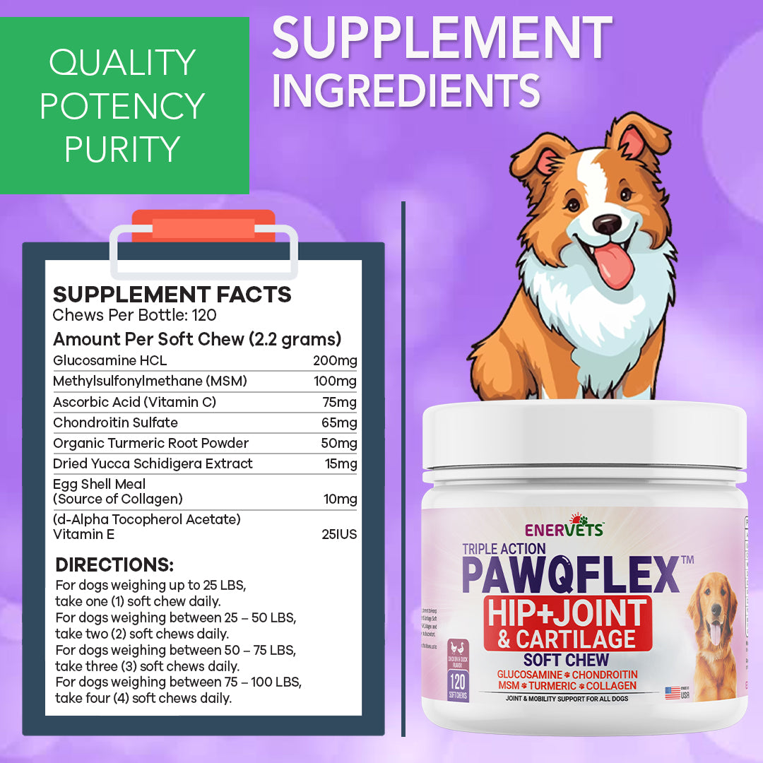 Enervets PawQFlex Dog Hip and Joint Supplement Chicken Flavoured Dog Treats -120 Soft Chews
