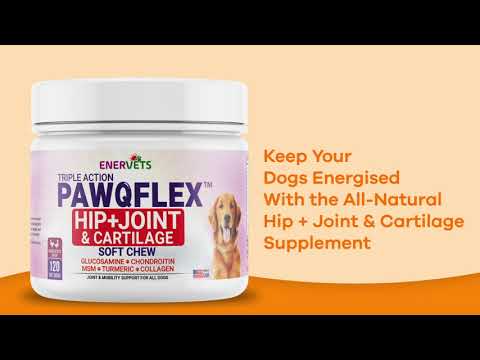 Enervets PawQFlex Dog Hip and Joint Supplement Chicken Flavoured Dog Treats -120 Soft Chews